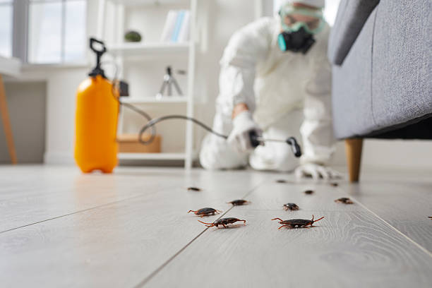 Commercial Kitchen Cockroach Control in Tieton